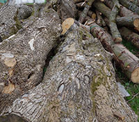 Marleaux Regio Tone Wood